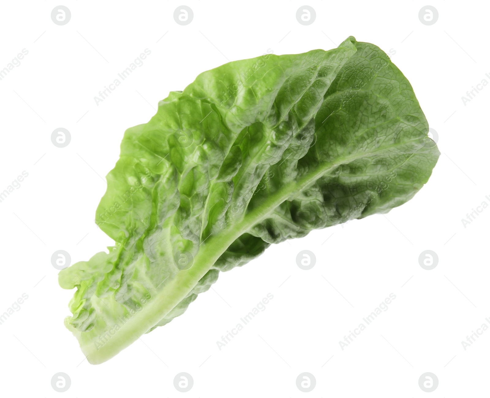 Photo of Fresh leaf of green romaine lettuce isolated on white