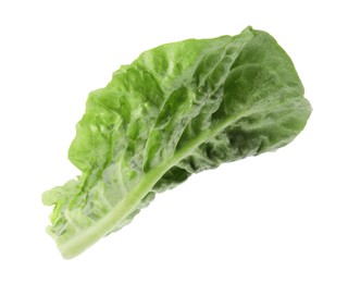 Fresh leaf of green romaine lettuce isolated on white