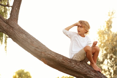 Photo of Cute little boy on tree outdoors. Child spending time in nature