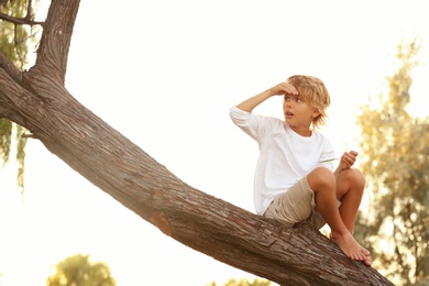 Cute little boy on tree outdoors. Child spending time in nature