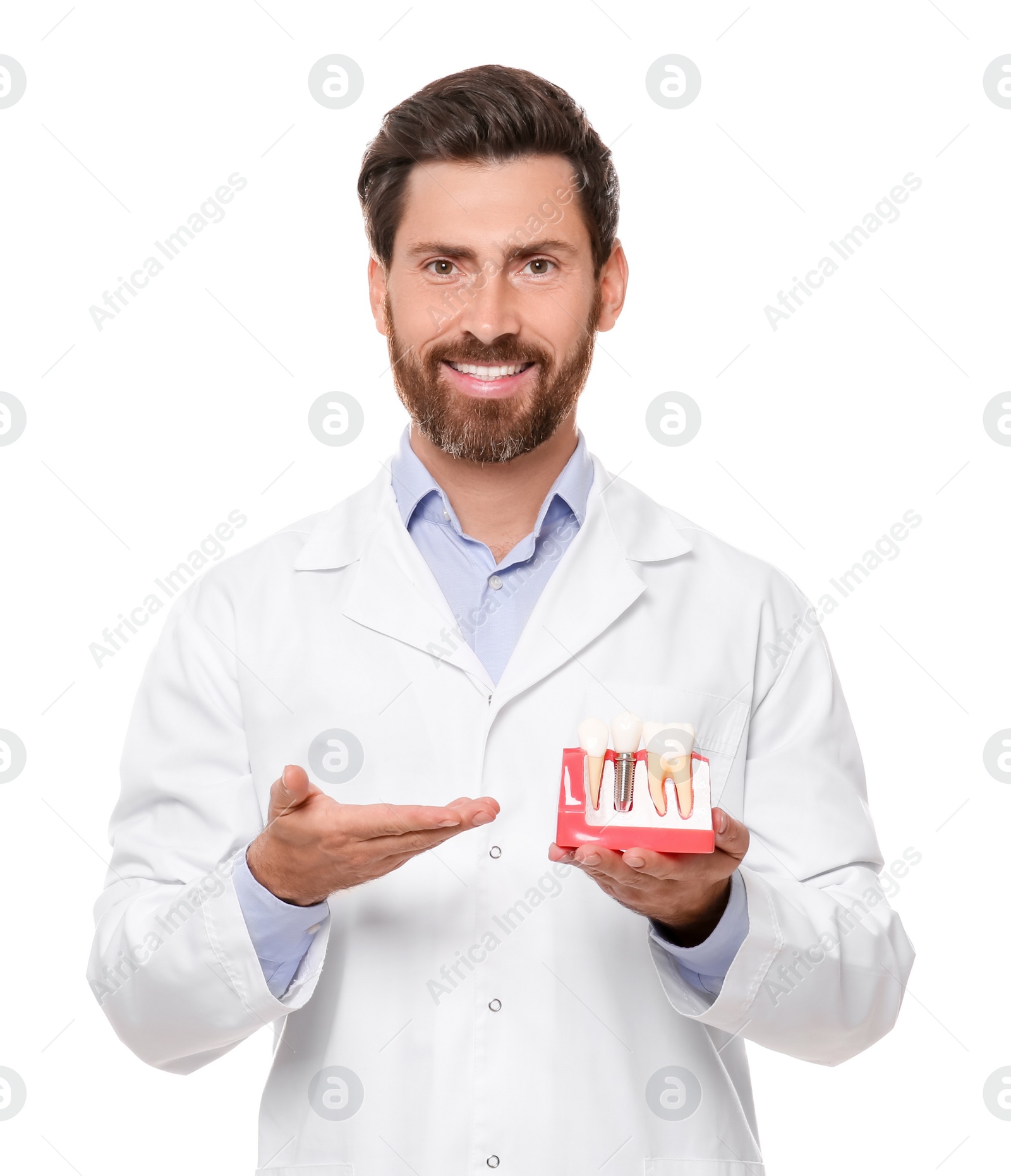 Photo of Dentist holding educational model of dental implant on white background