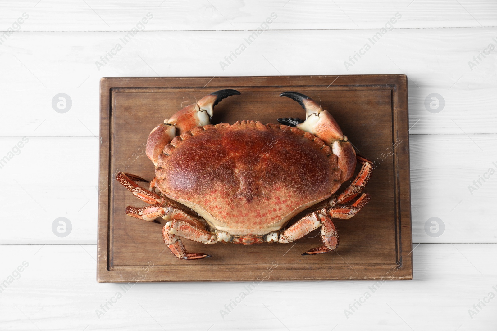 Photo of Delicious boiled crab on white wooden table, top view