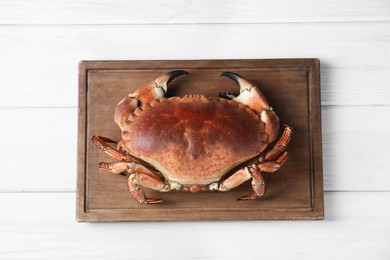 Delicious boiled crab on white wooden table, top view