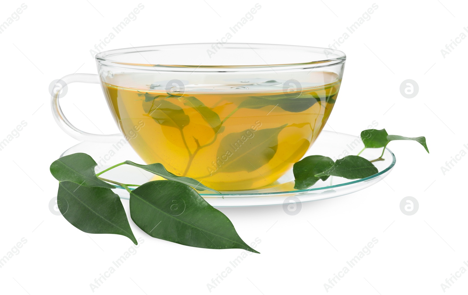 Photo of Fresh green tea in glass cup, leaves and saucer isolated on white