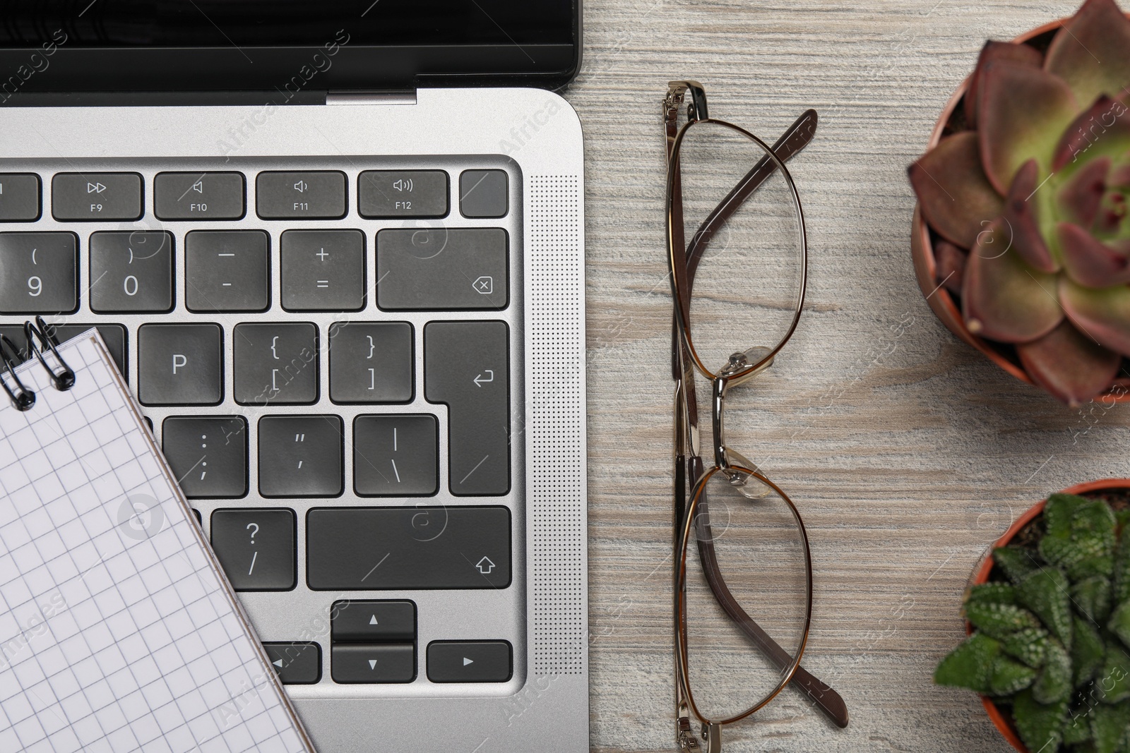 Photo of Modern laptop, houseplants, notebook and glasses on wooden table, flat lay