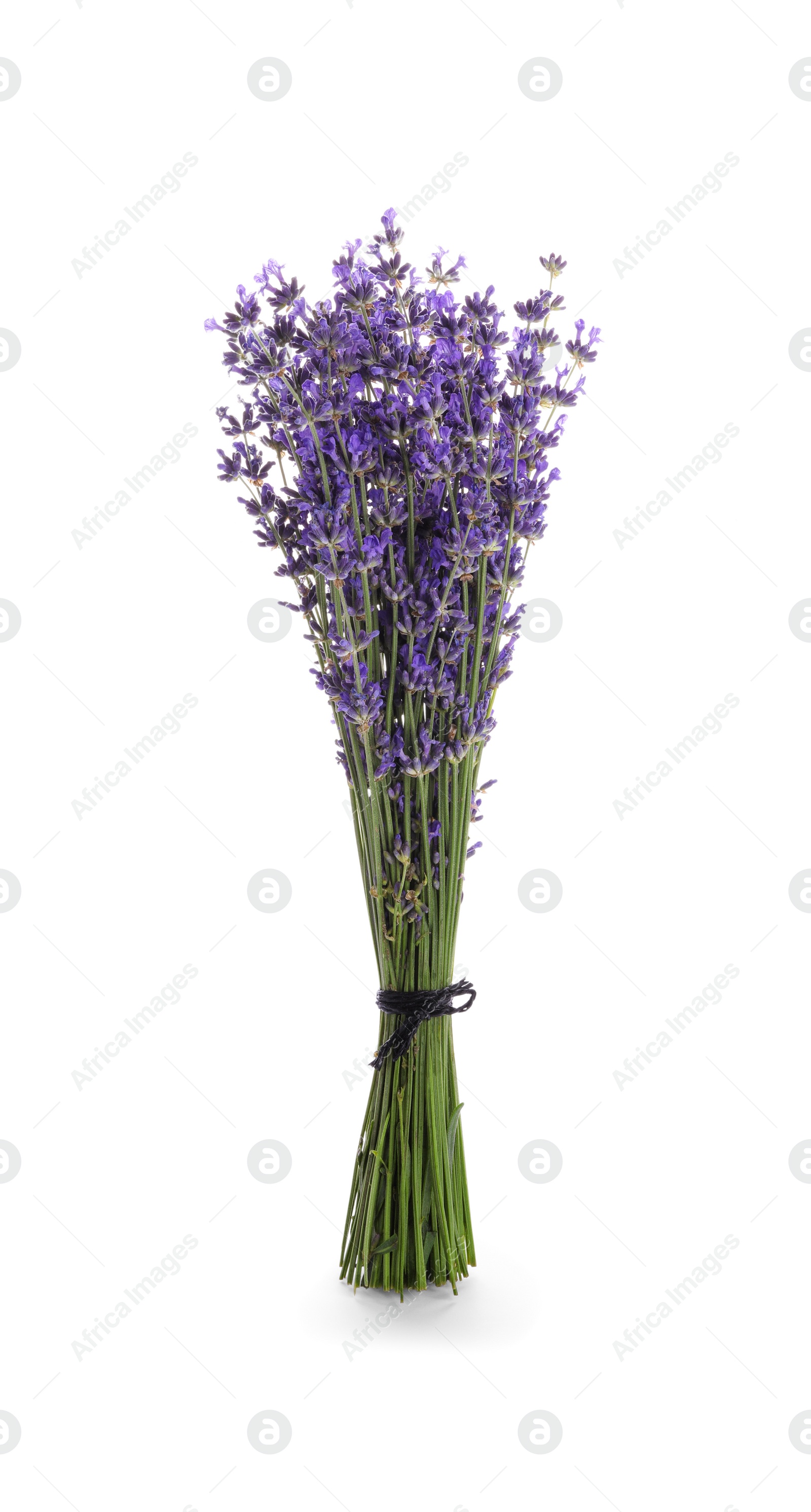 Photo of Beautiful fresh lavender bouquet isolated on white