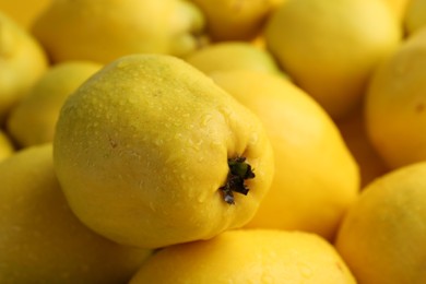 Photo of Delicious ripe quinces with water drops as background, closeup