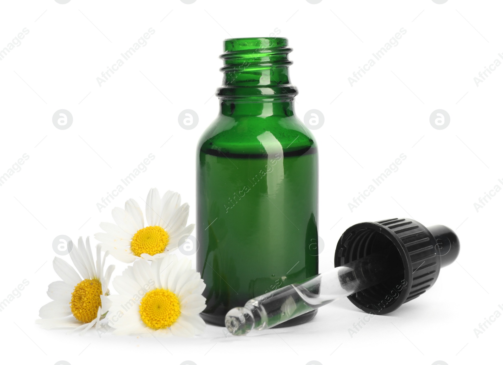 Photo of Chamomile flowers and cosmetic bottle of essential oil on white background