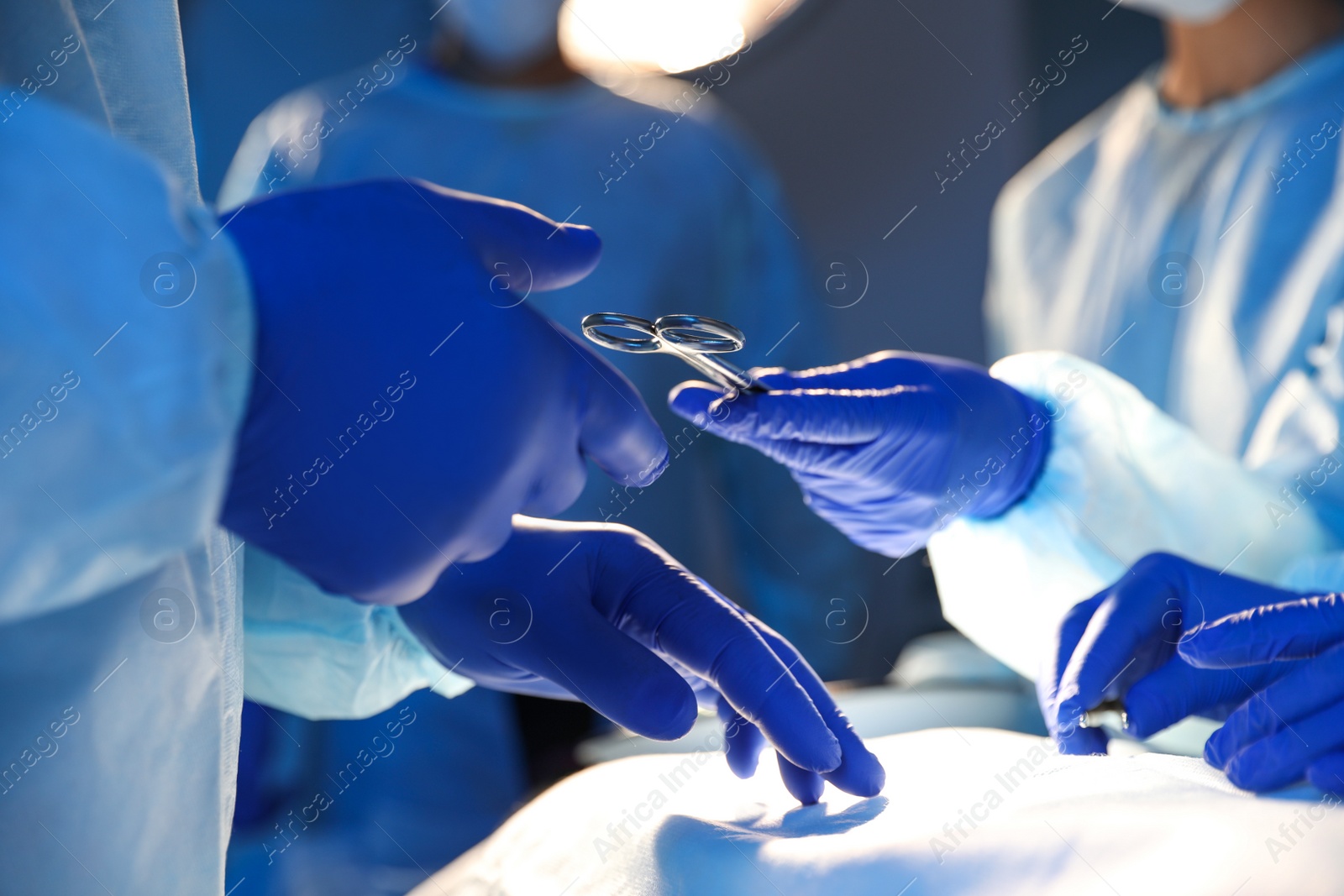 Photo of Nurse giving tool to doctor in surgery room, closeup