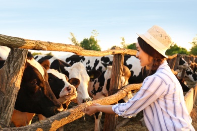 Photo of Young woman feeding cows with hay on farm. Animal husbandry