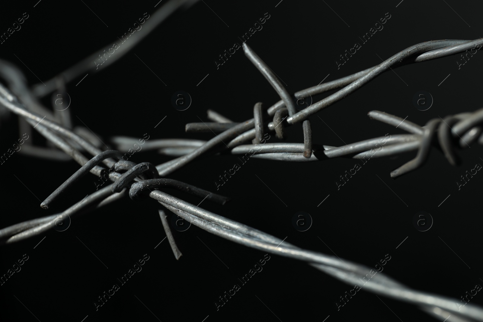 Photo of Shiny metal barbed wire on black background, closeup