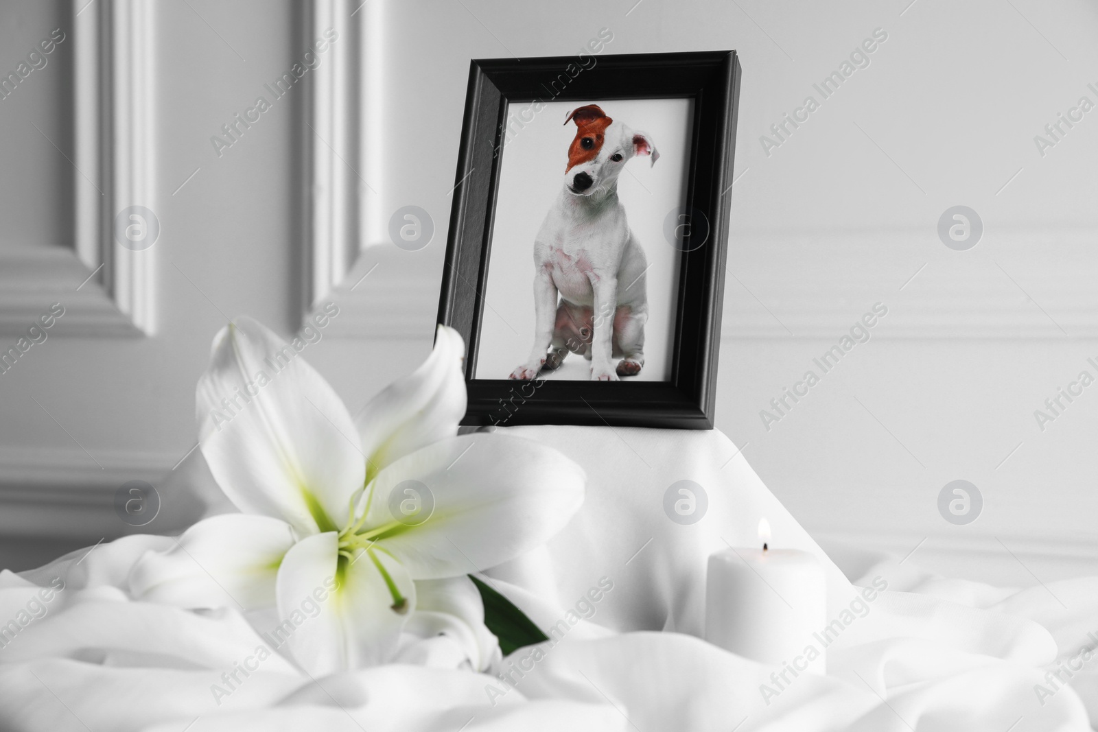 Photo of Frame with picture of dog, burning candle and lily flower on white cloth, closeup. Pet funeral