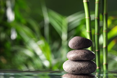 Stacked stones on water surface against bamboo stems and green leaves. Space for text