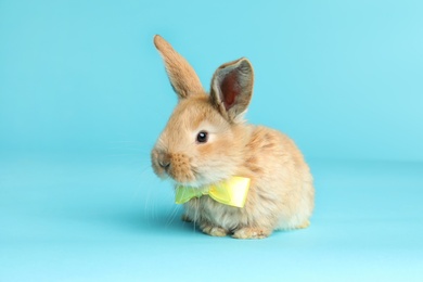 Photo of Adorable furry Easter bunny with cute bow tie on color background