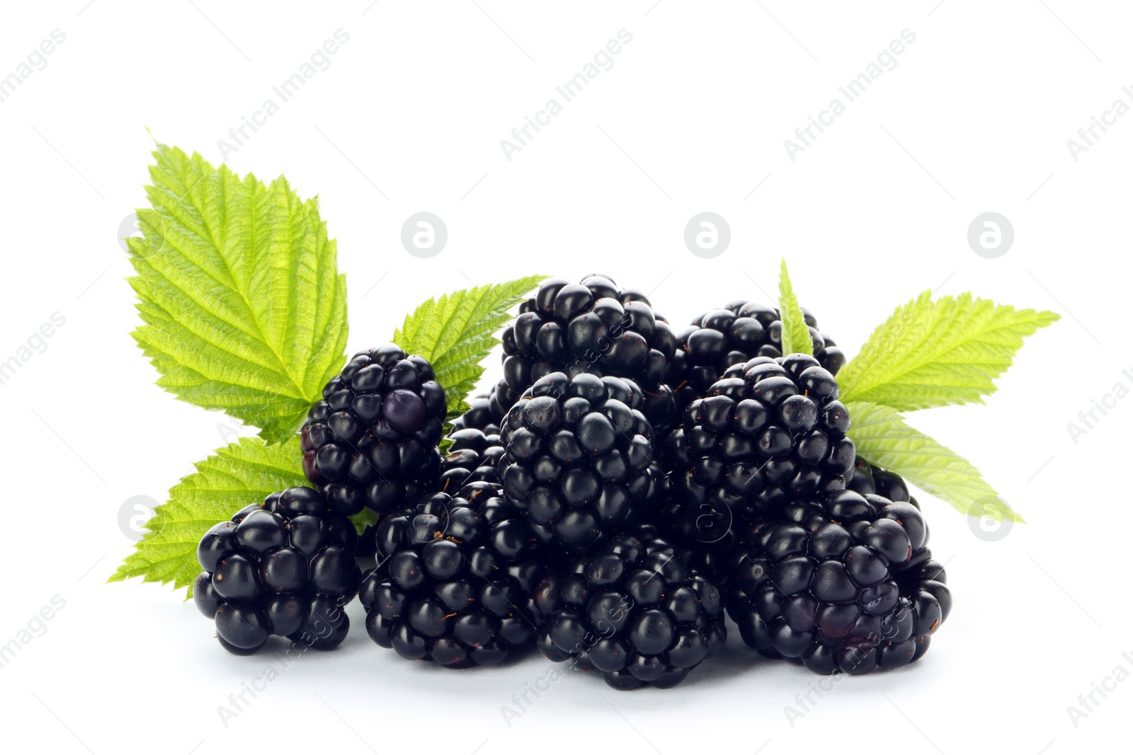 Photo of Fresh ripe juicy blackberries on white background