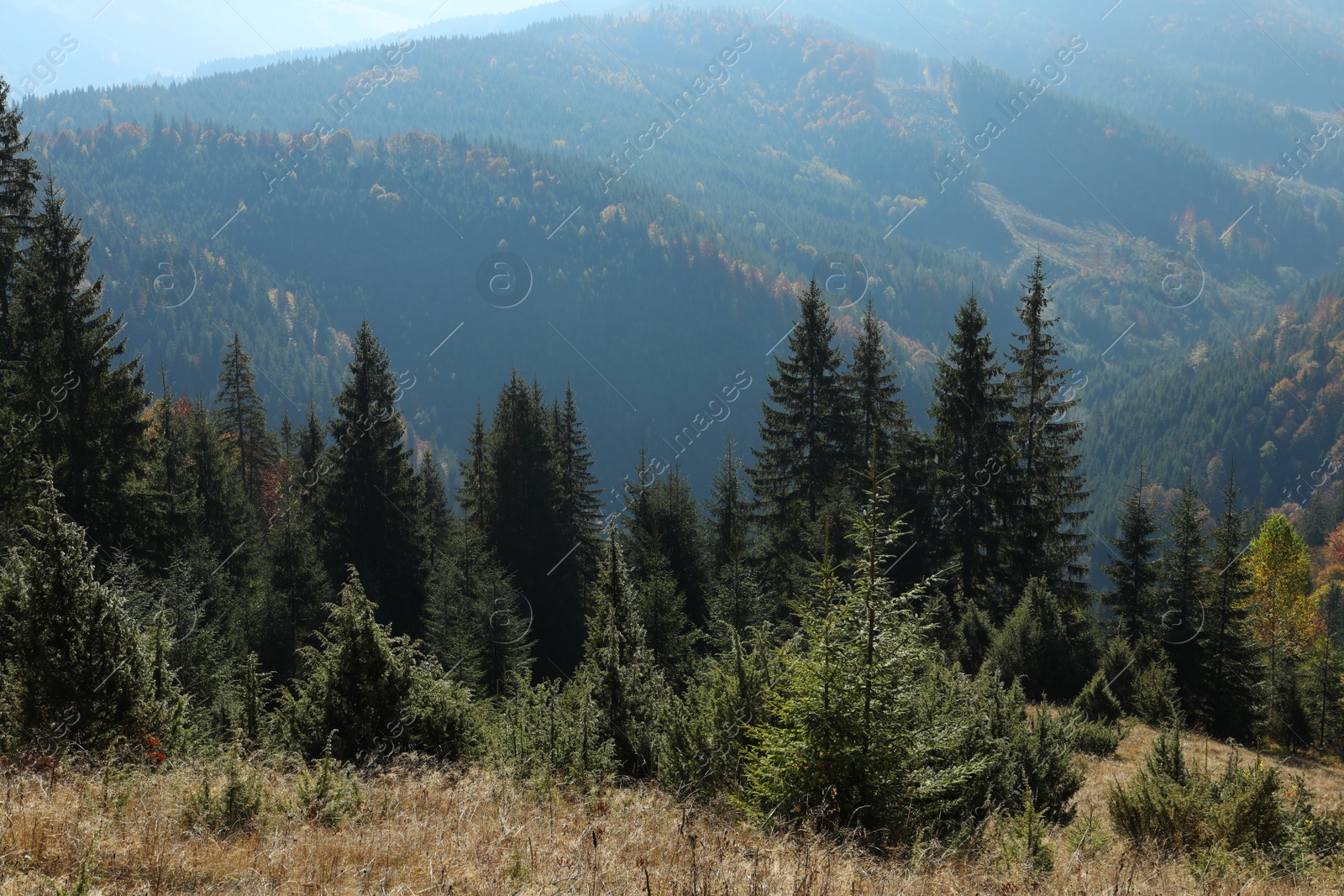 Photo of Picturesque view of beautiful mountains in autumn