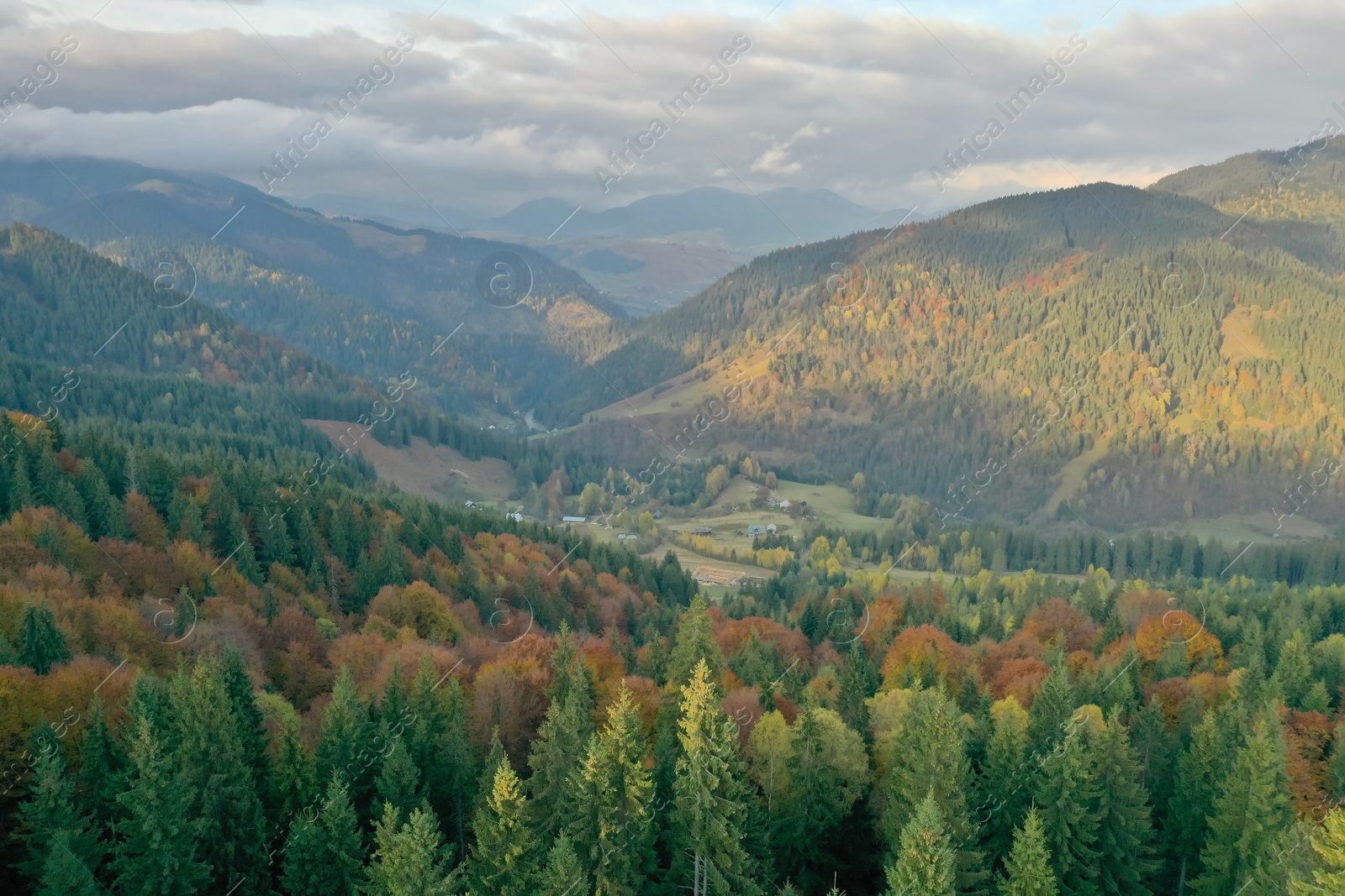 Photo of Aerial view of beautiful mountain landscape with forest on sunny day