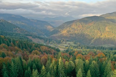 Photo of Aerial view of beautiful mountain landscape with forest on sunny day