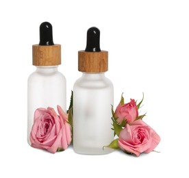 Photo of Bottles of essential rose oil and flowers on white background