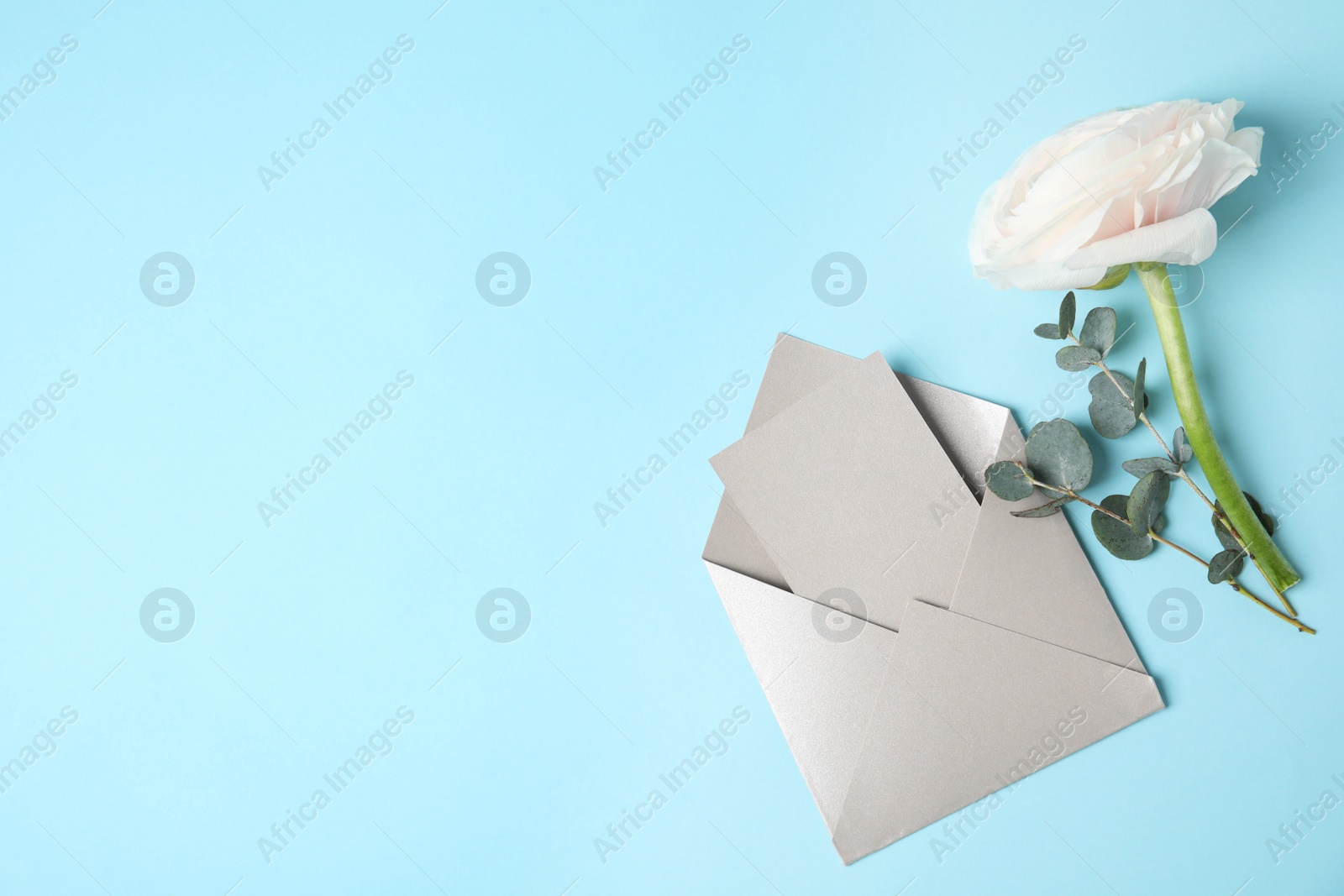 Photo of Flat lay composition with beautiful ranunculus flower and card in envelope on color background. Space for text