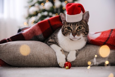 Photo of Cute cat wearing Santa hat covered with plaid in room decorated for Christmas