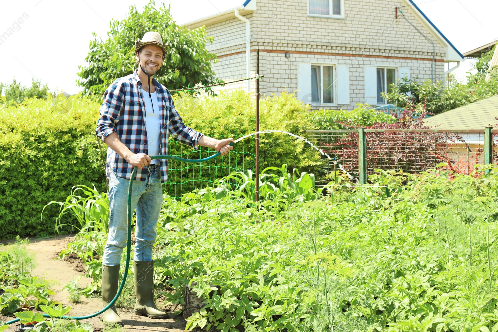 Photo of Man working in garden on sunny day