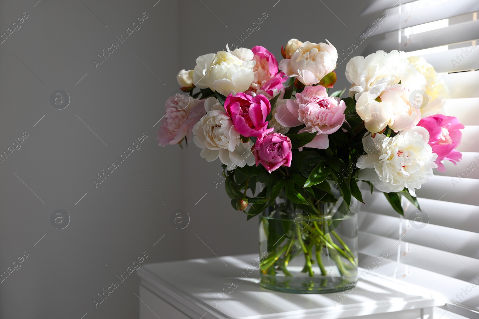 Photo of Beautiful peonies in vase on table near window indoors. Space for text