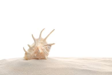 Pile of beach sand with sea shell isolated on white