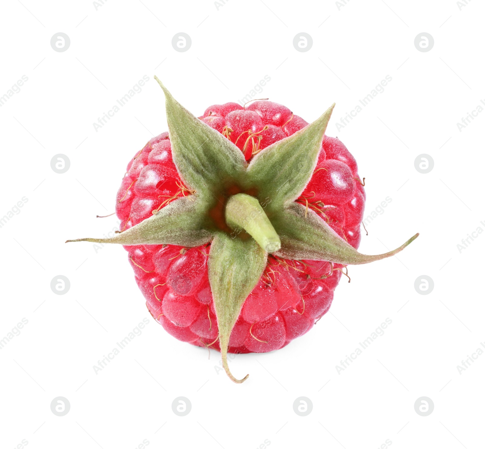 Photo of One tasty ripe raspberry isolated on white