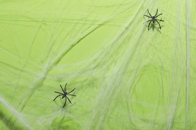 Cobweb and spiders on green background, top view