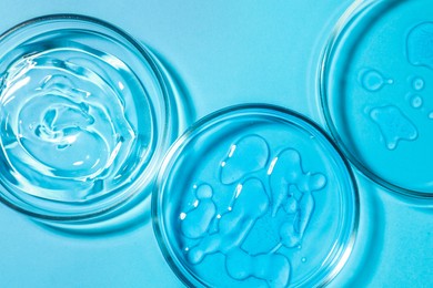 Photo of Petri dishes with liquids on light blue background, flat lay