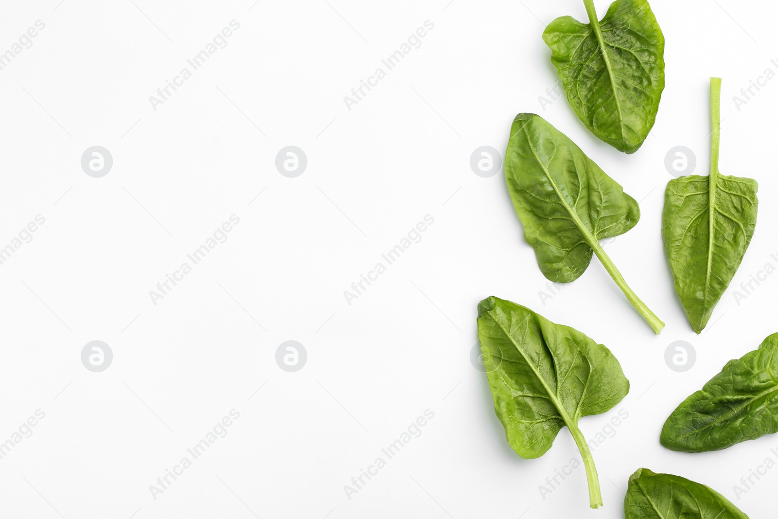 Photo of Fresh leaves of spinach isolated on white, top view