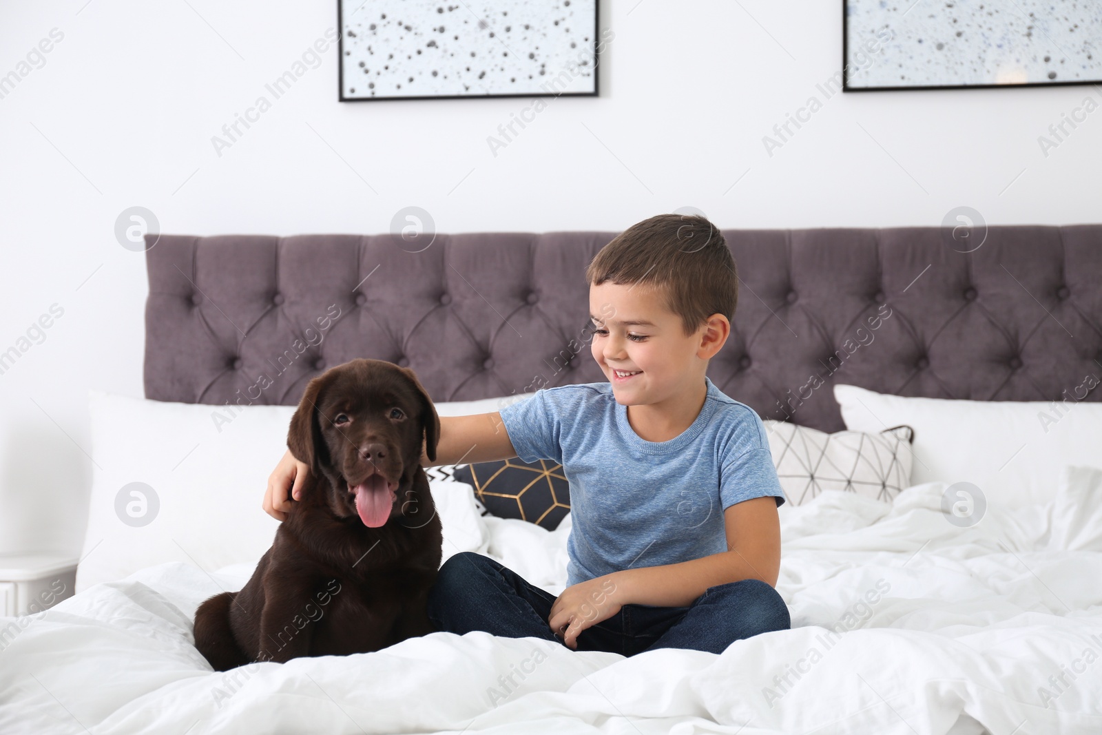 Photo of Funny puppy and little boy on bed at home. Friendly dog