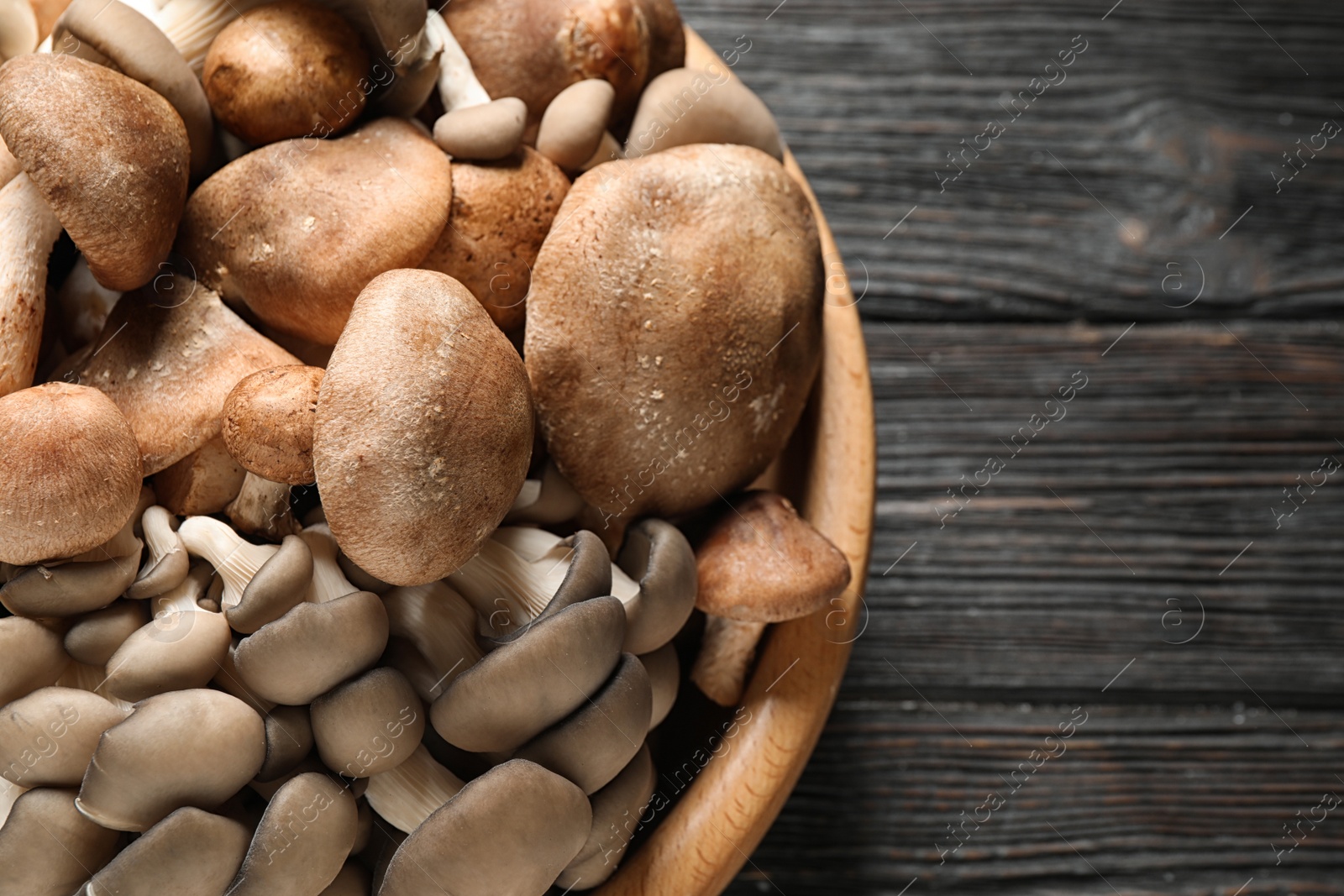 Photo of Different fresh wild mushrooms in bowl on wooden table, above view