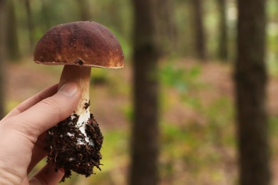 Photo of Woman holding beautiful mushroom in forest, closeup. Space for text