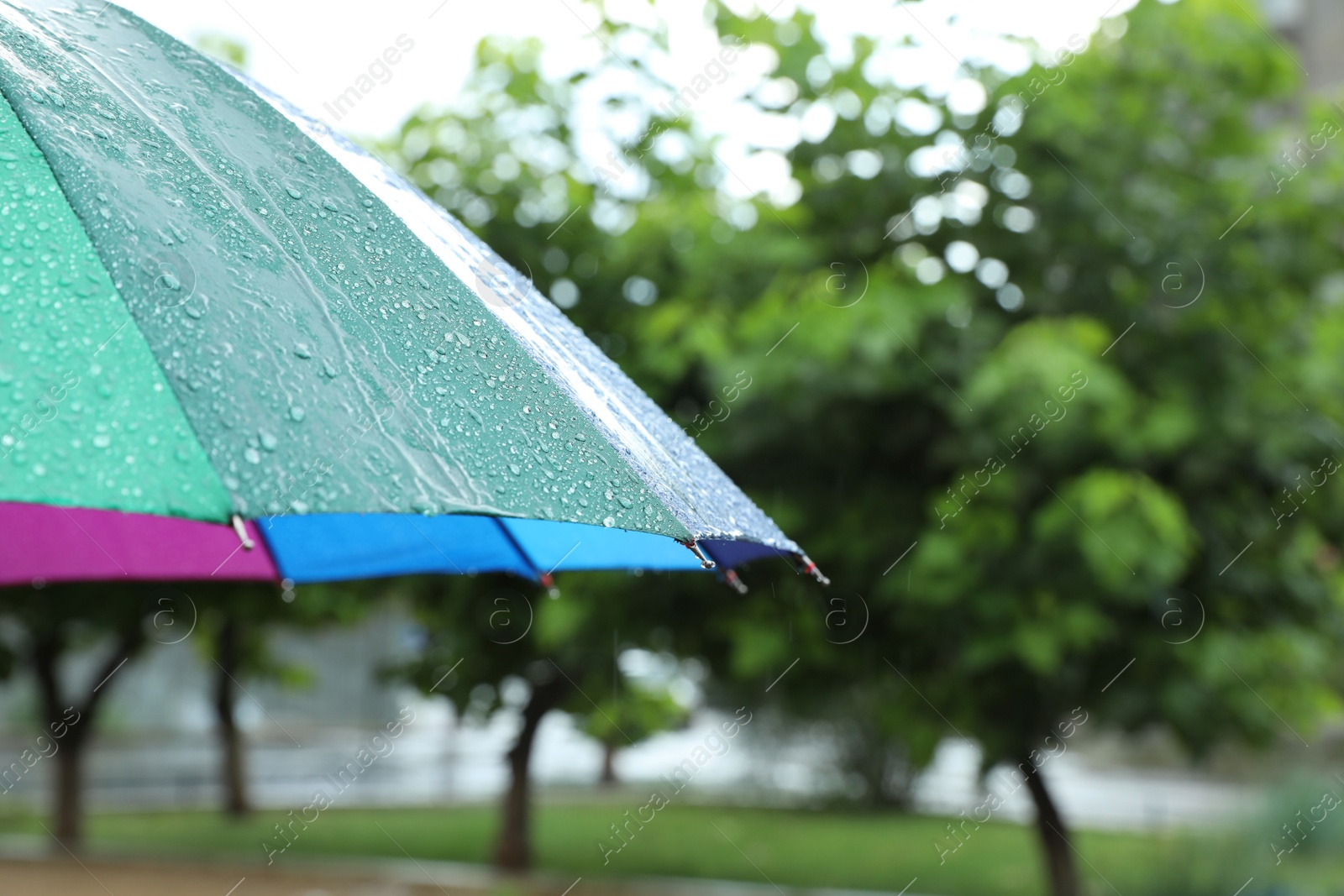 Photo of Colorful umbrella outdoors on rainy day, closeup