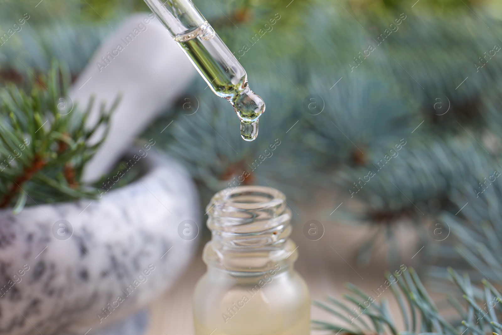 Photo of Dripping pine essential oil into bottle, closeup