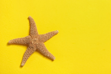 Beautiful starfish on color background, top view with space for text