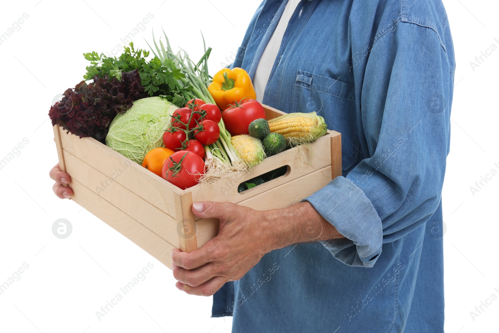 Photo of Harvesting season. Farmer holding wooden crate with vegetables on white background, closeup