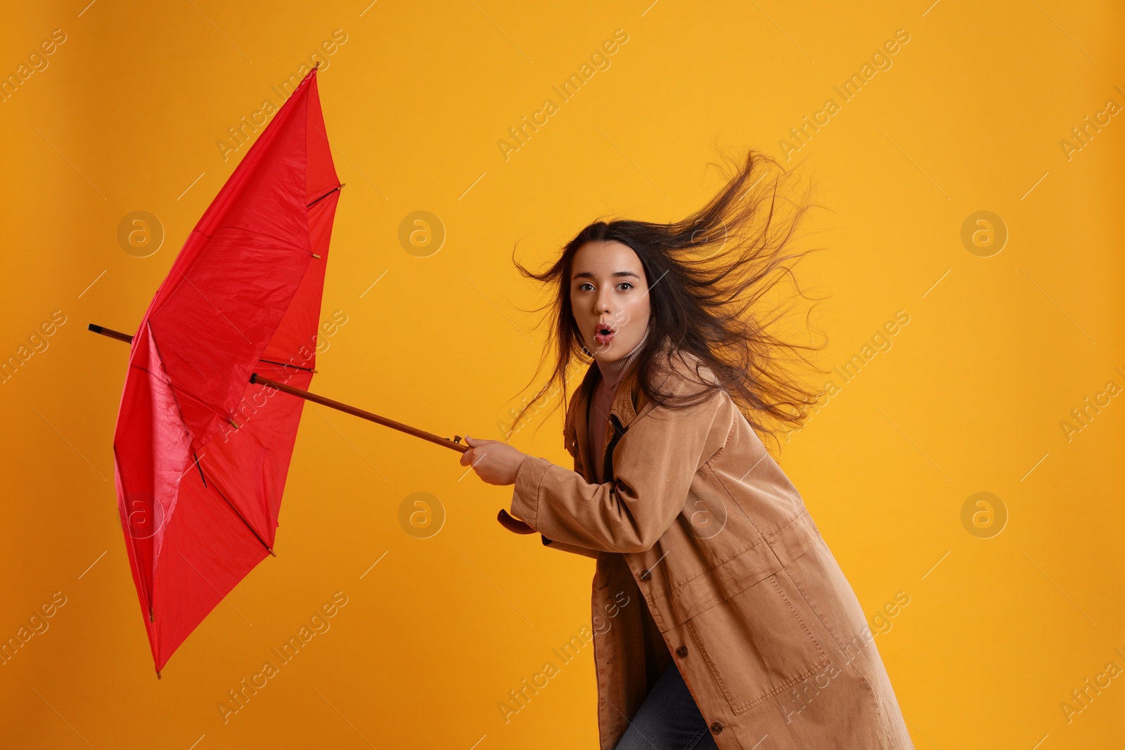 Photo of Emotional woman with umbrella caught in gust of wind on yellow background