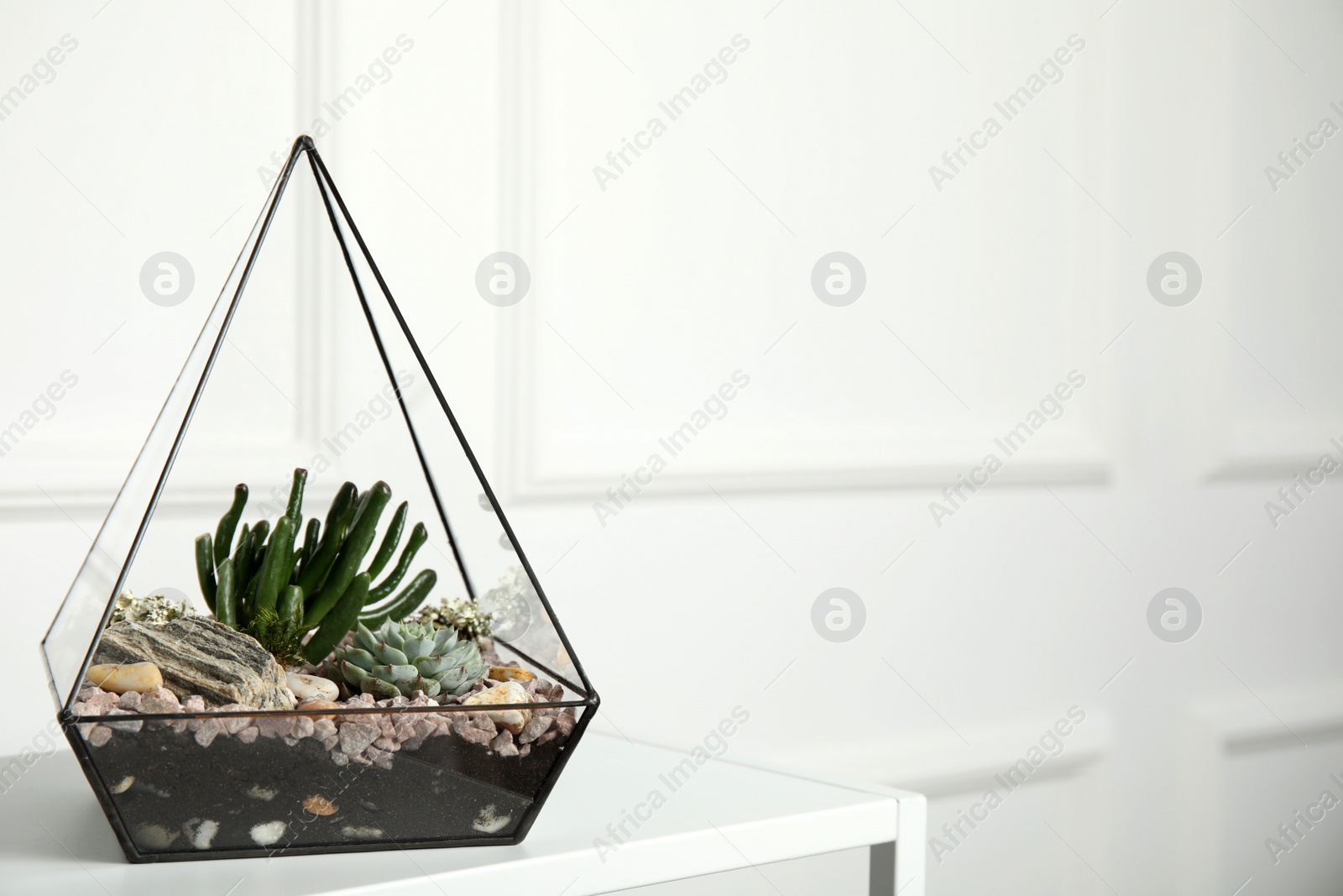 Photo of Glass florarium vase with succulents on white table indoors, space for text