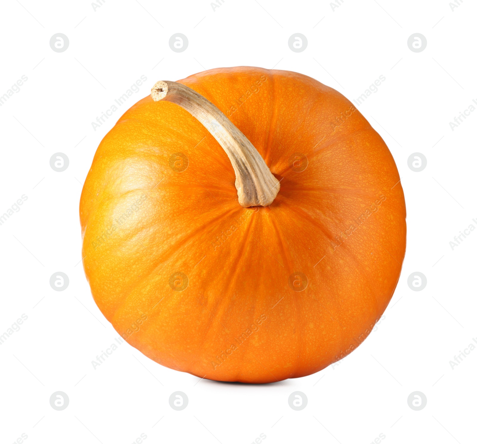 Photo of One fresh orange pumpkin isolated on white