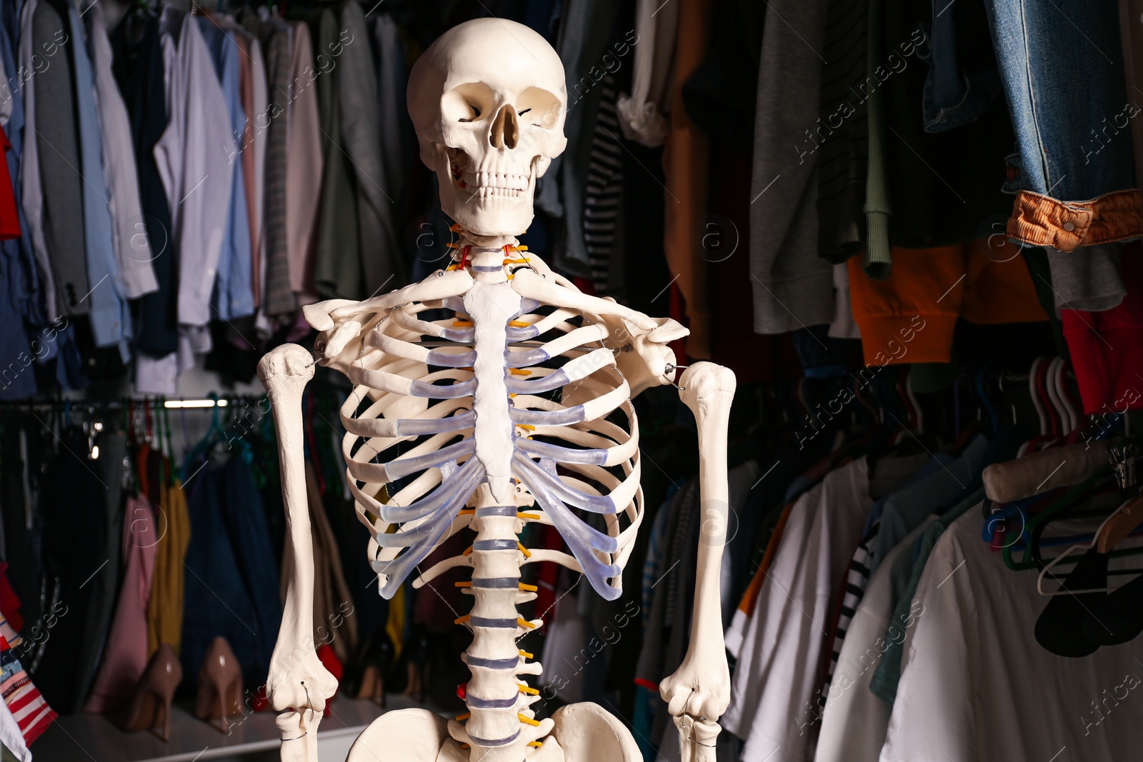 Photo of Artificial human skeleton model among clothes in wardrobe