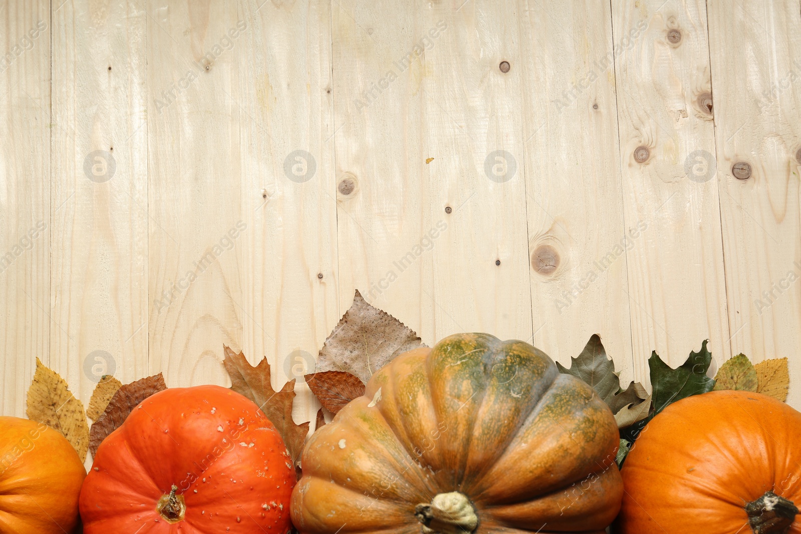 Photo of Thanksgiving day. Flat lay composition with pumpkins and different leaves on light wooden table, space for text