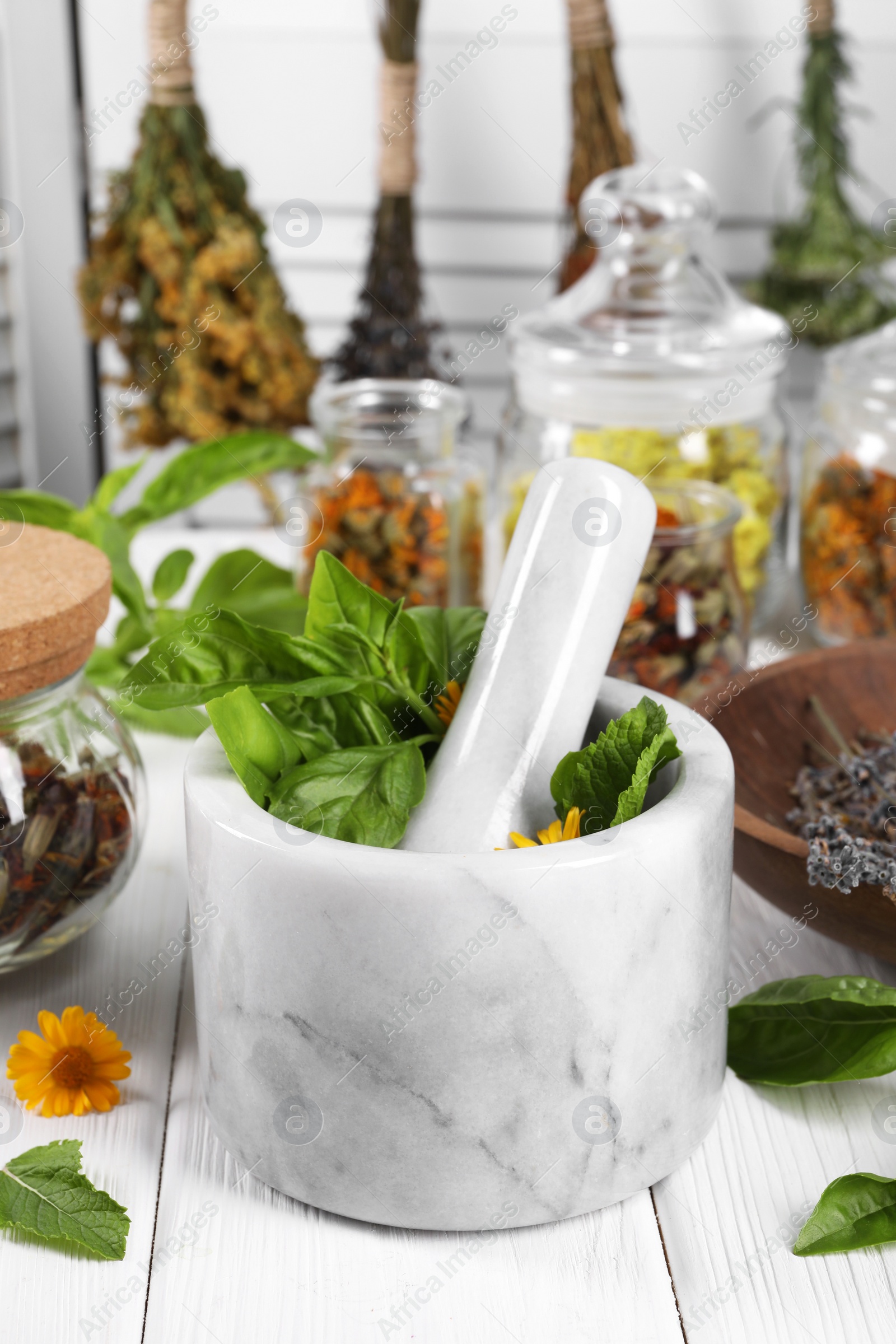 Photo of Mortar with pestle and many different medicinal herbs on white wooden table