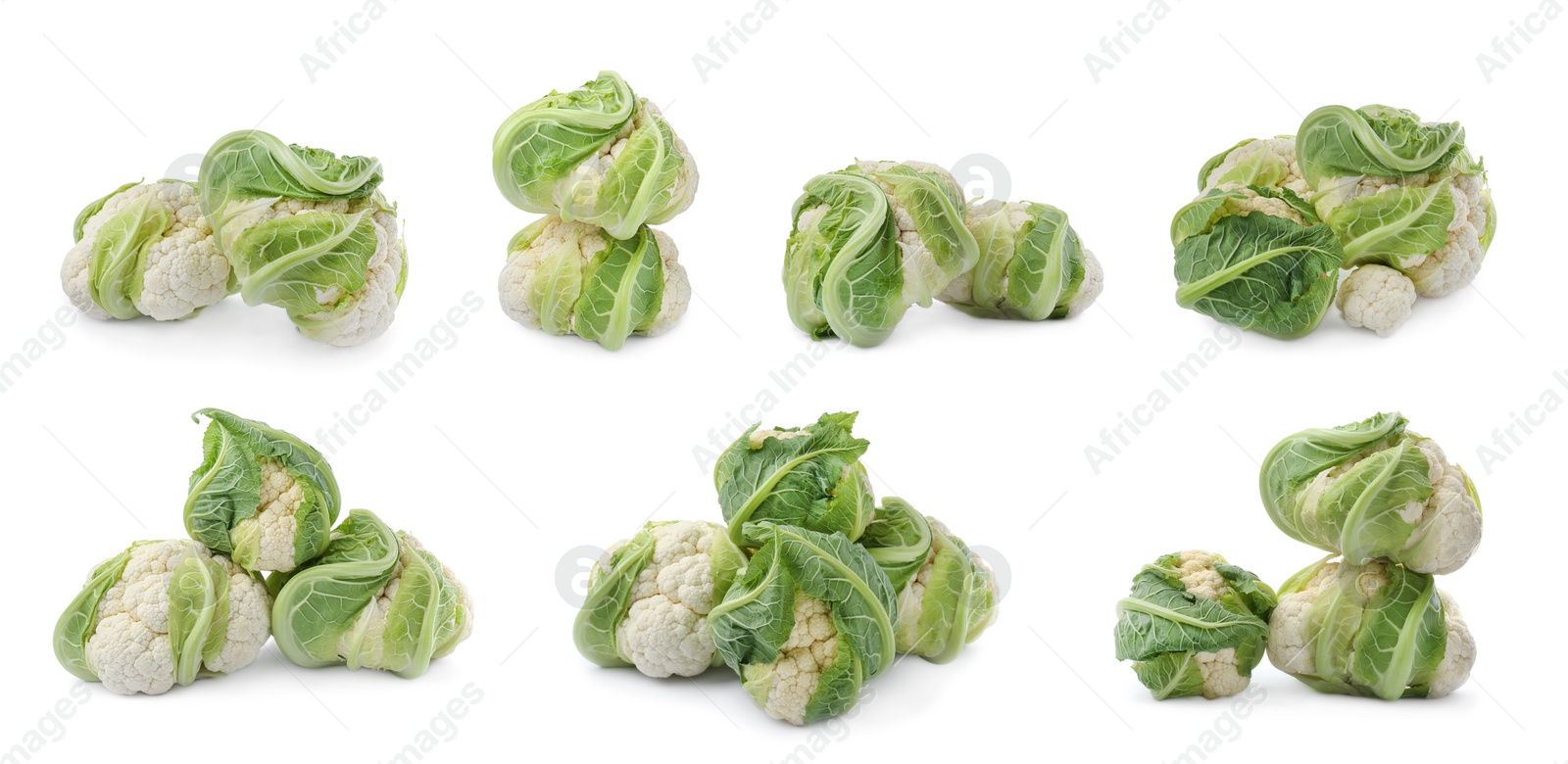 Image of Collage of whole fresh raw cauliflowers on white background