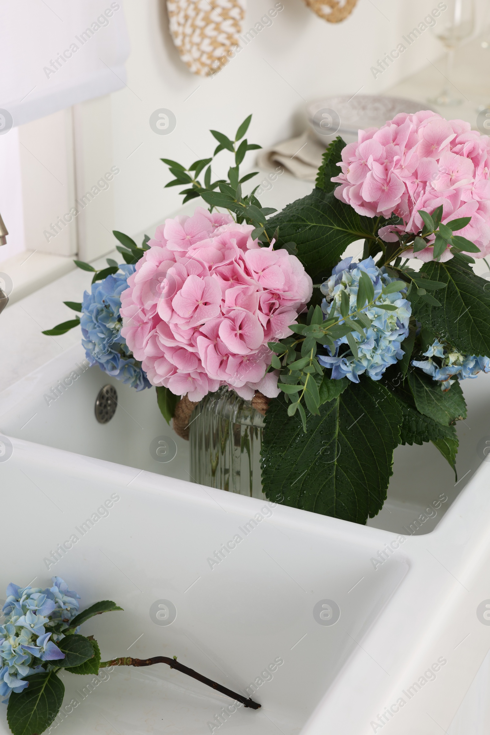 Photo of Vase with beautiful hortensia flowers in kitchen sink