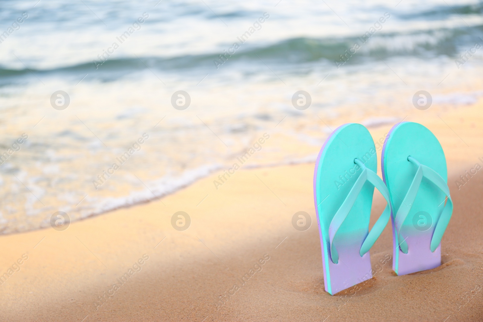 Photo of Stylish flip flops on sand near sea, space for text. Beach accessories