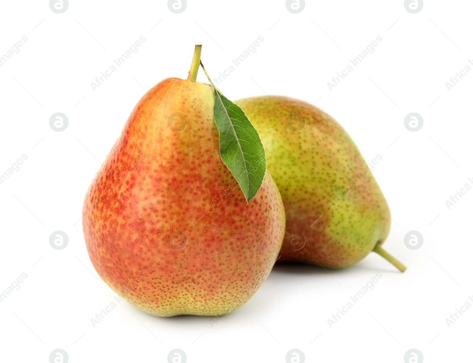 Photo of Ripe fresh juicy pears isolated on white