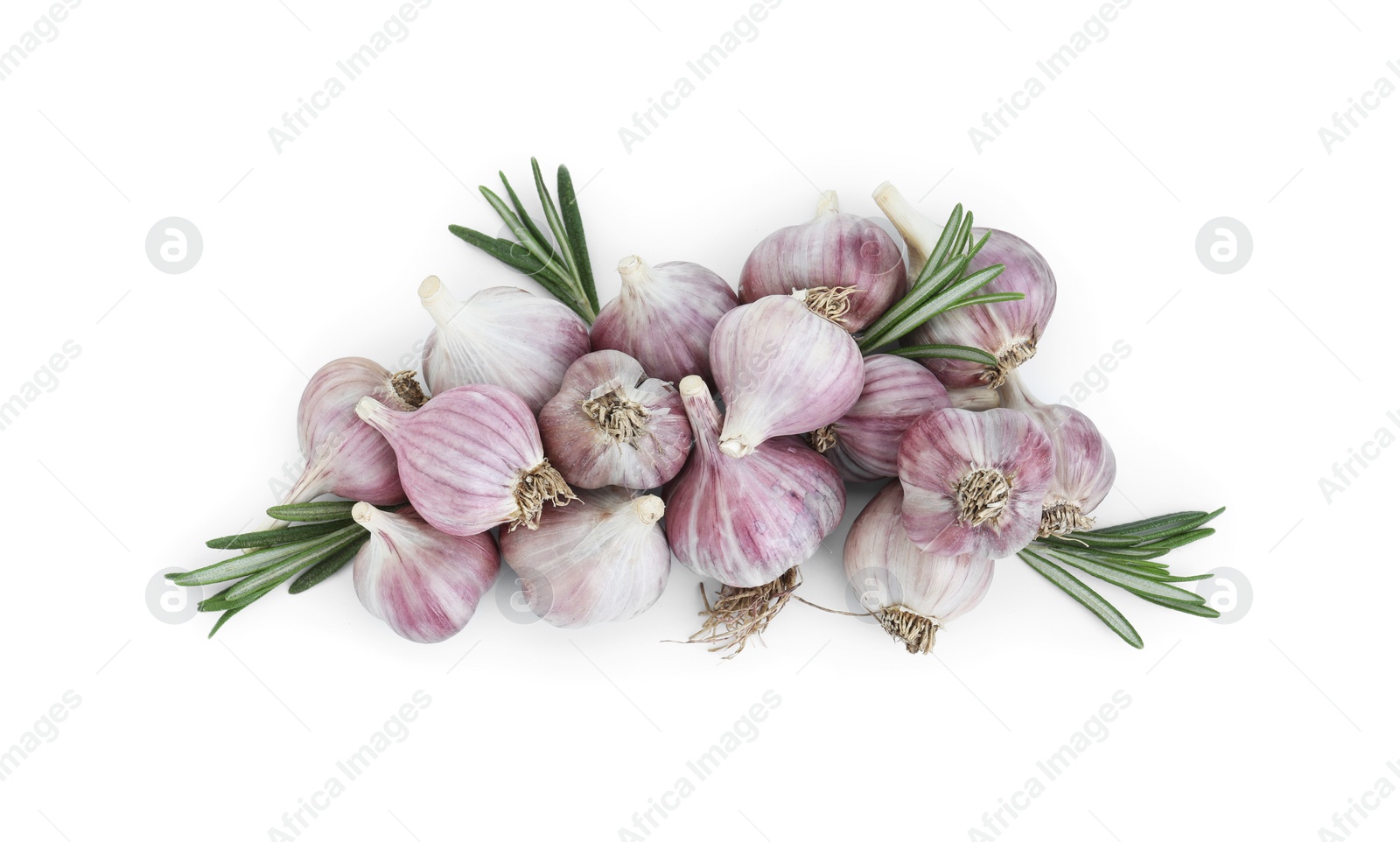 Photo of Fresh garlic bulbs and rosemary isolated on white, top view